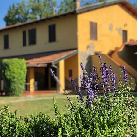Agriturismo Santa Lorica Sassetta Dış mekan fotoğraf