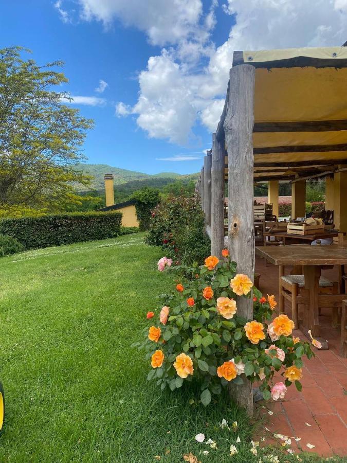 Agriturismo Santa Lorica Sassetta Dış mekan fotoğraf