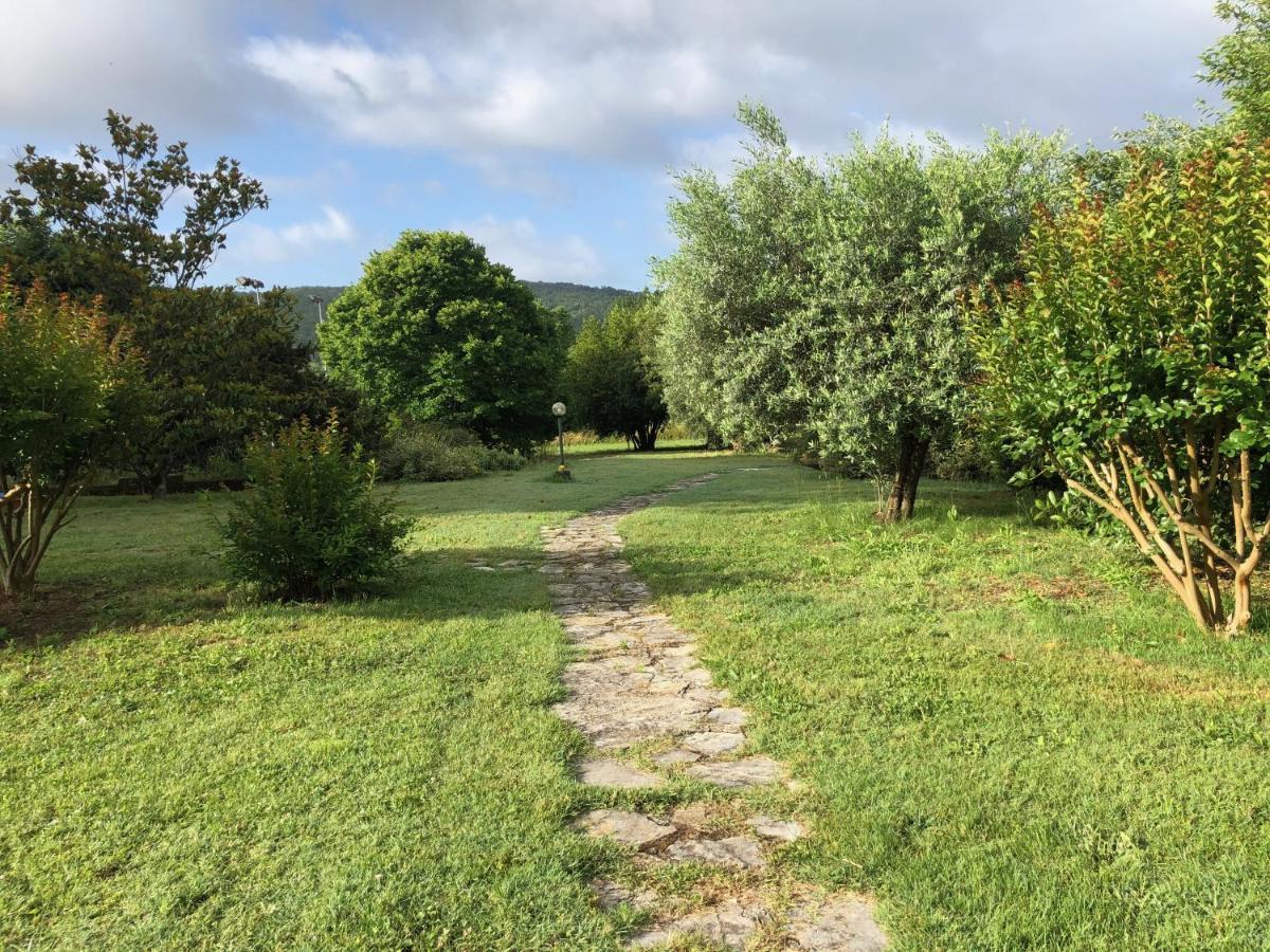 Agriturismo Santa Lorica Sassetta Dış mekan fotoğraf