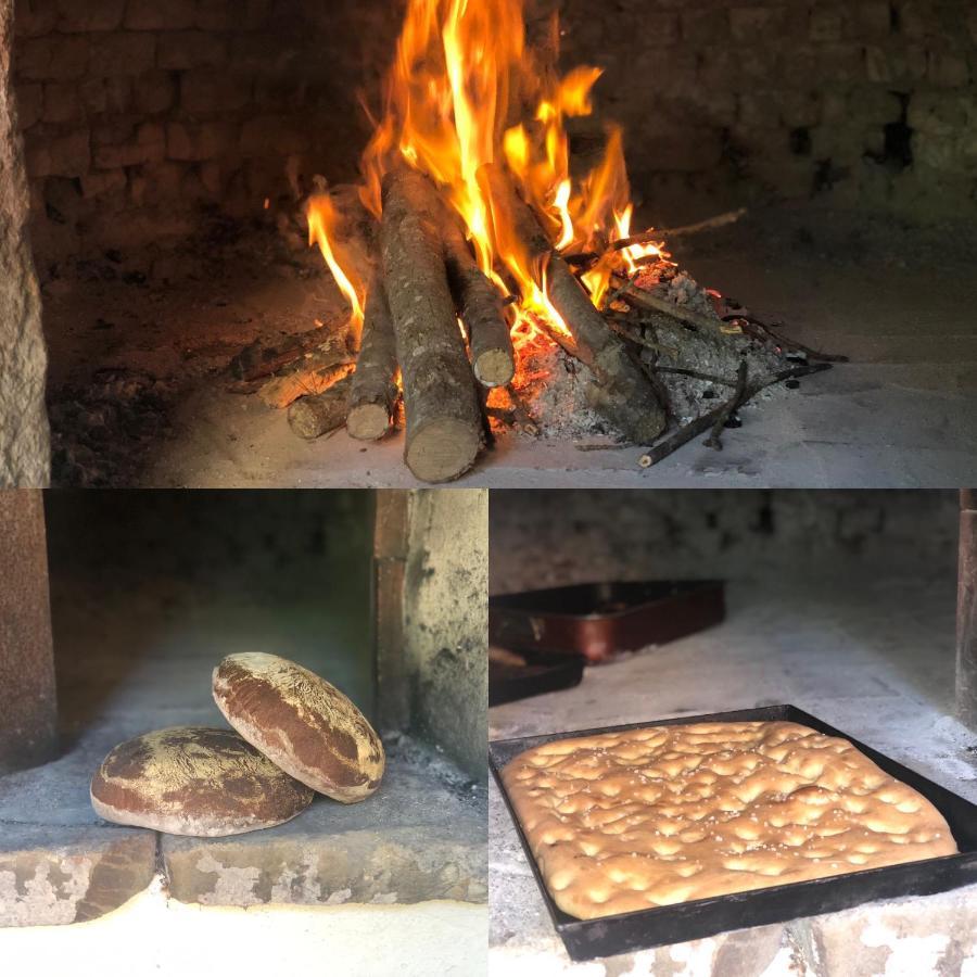 Agriturismo Santa Lorica Sassetta Dış mekan fotoğraf