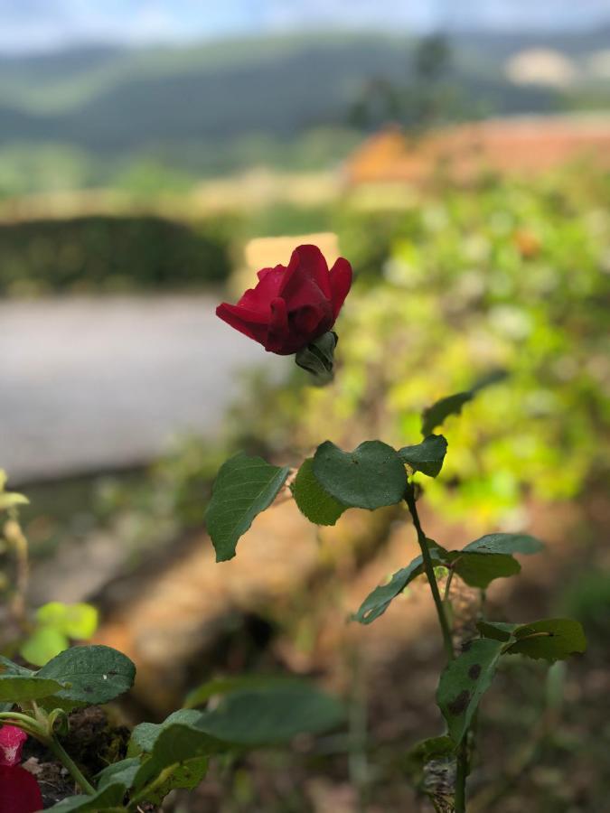 Agriturismo Santa Lorica Sassetta Dış mekan fotoğraf